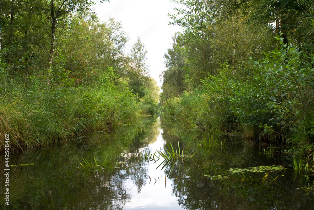 Weerribben, Overijssel, Netherlands