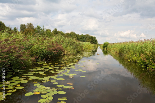 Weerribben, Overijssel, Netherlands photo