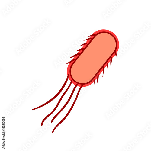 Vector illustration of bacteria with flagellum.