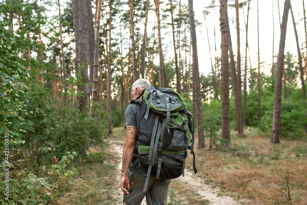 Rear view of mature caucasian man with backpack trekking