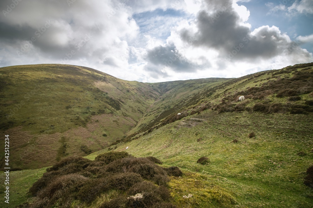 Fototapeta premium Shropshire Hills