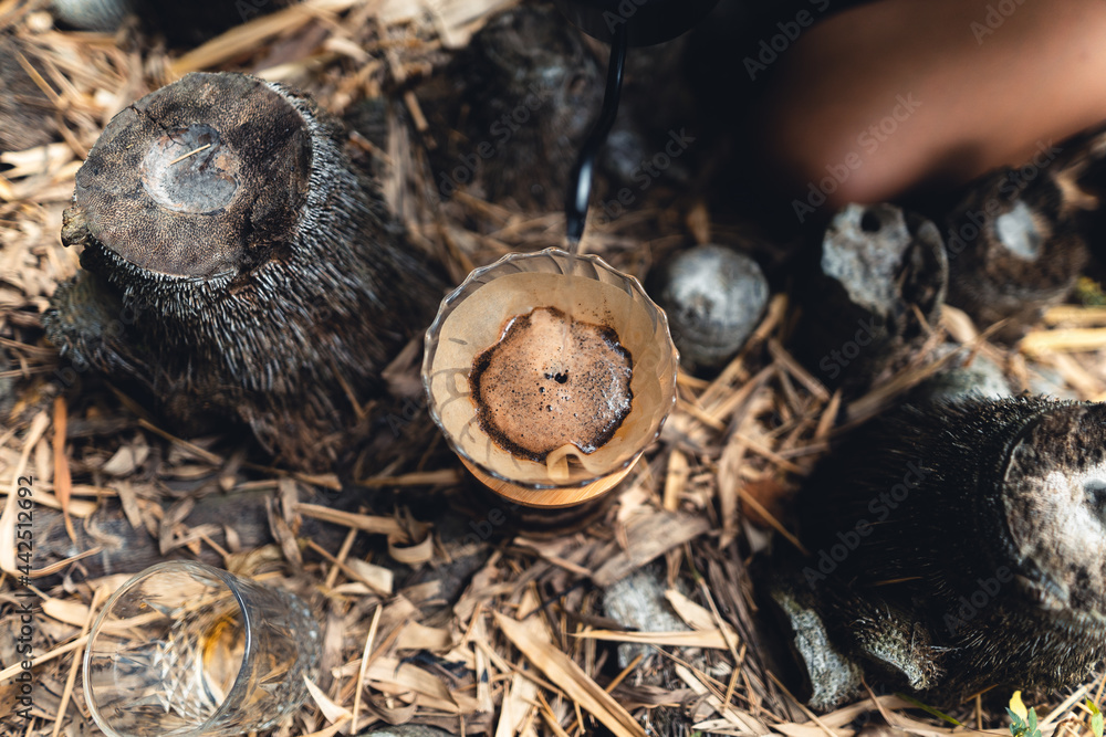 Drip coffee in the forest,pour hot water in coffee Drip coffee in the forest,pour hot water in coffee