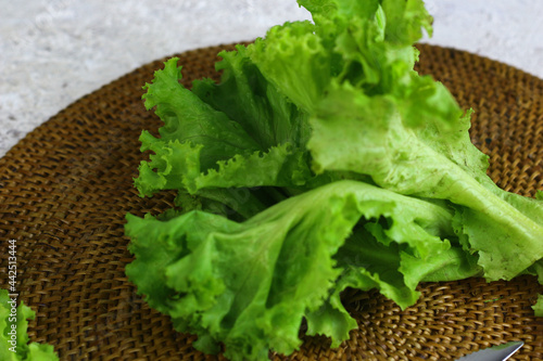 Fresh Lettuce or selada, on white background. photo