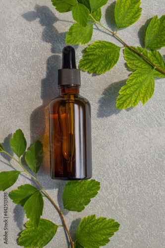Cosmetic serum  oil or plant extract in a dark bottle with a dropper on a background of plant leaves