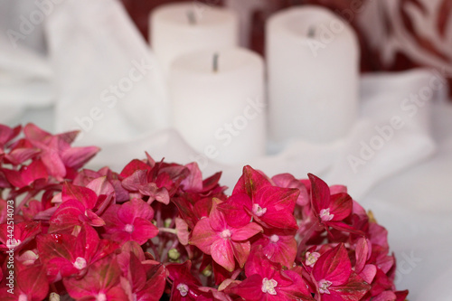 White candles and hydrangea photo