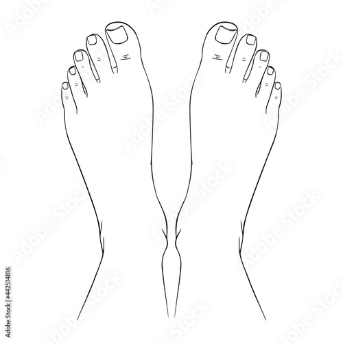 Beautiful female feet barefoot sketch. Black-and-white outline sketch. A design element for spa, manicure or cosmetics.