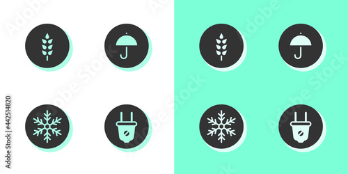 Set Electric plug, Wheat, Snowflake and Delivery package with umbrella icon. Vector