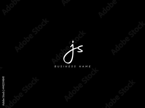 Letter JS Logo, signature js logo icon vector for your business