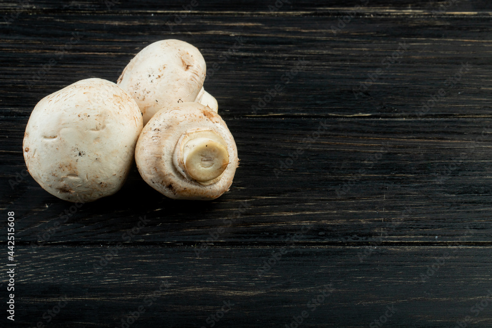 side view of fresh white mushrooms isolated on dark wooden background with copy space