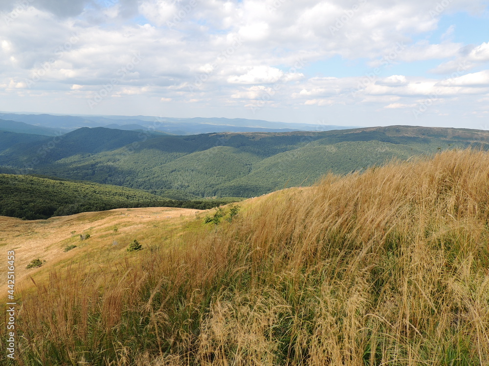 Obraz premium landscape