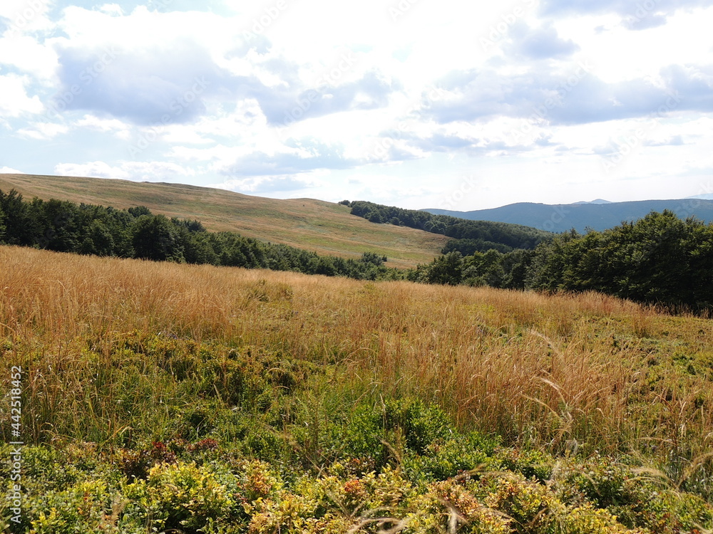 view of the mountains