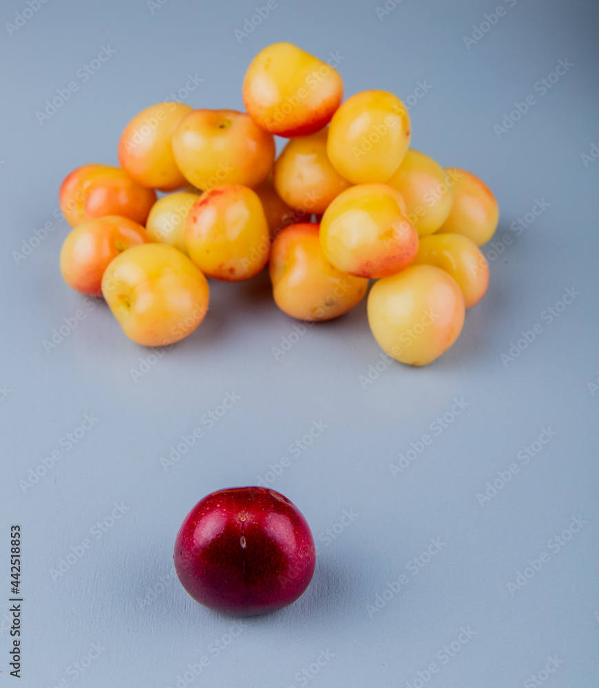 side view of ripe red and yellow cherries isolated on grey background side view of ripe red and yellow cherries isolated on grey background