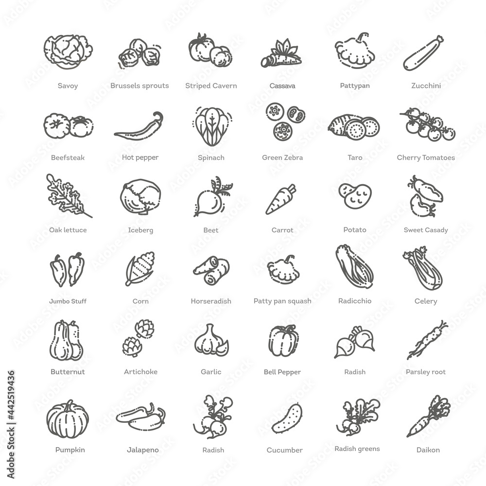 Vegetables set. Basic vegetables thin line icons