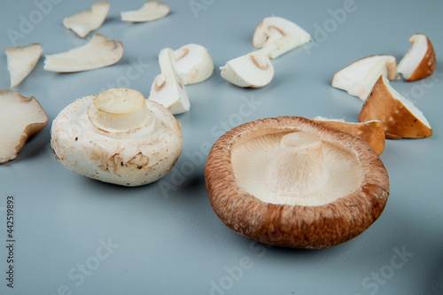 side view of sliced and whole mushrooms on light blue background