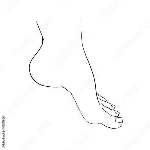 Beautiful female feet barefoot sketch. Black-and-white outline sketch. A design element for spa, manicure or cosmetics.