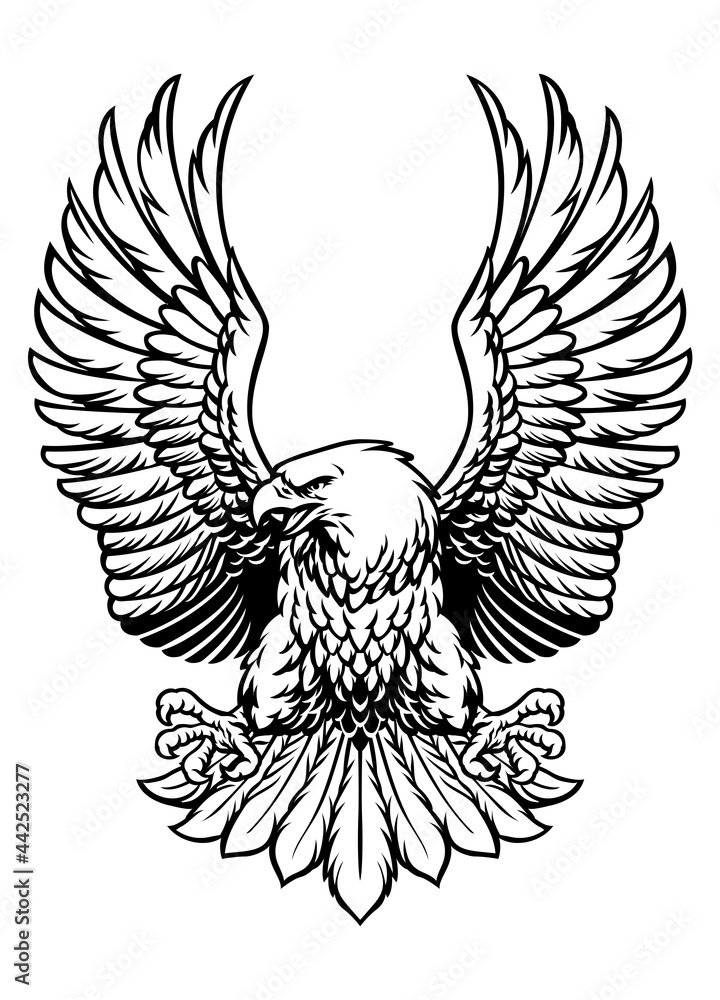 Obraz premium bald eagle spreading his wings