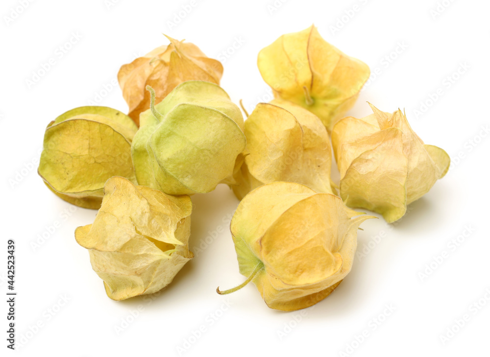 Physalis fruit isolated on white background 