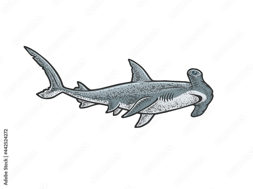 Naklejka premium Hammerhead shark line art color sketch engraving vector illustration. T-shirt apparel print design. Scratch board imitation. Black and white hand drawn image.