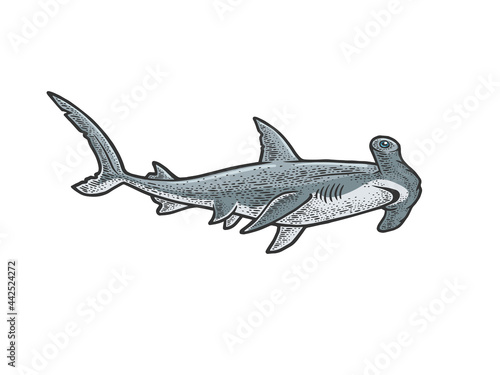 Hammerhead shark line art color sketch engraving vector illustration. T-shirt apparel print design. Scratch board imitation. Black and white hand drawn image.