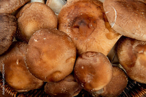 top view of fresh mushrooms in a wicker basket