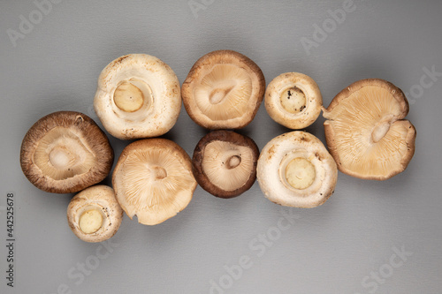 top view of fresh mushrooms isolated on light blue background