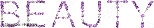 vector inscription Beauty made in the form of lavender sprigs