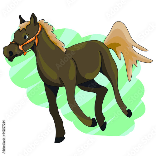 Vector illustration - young arabian running horse foal