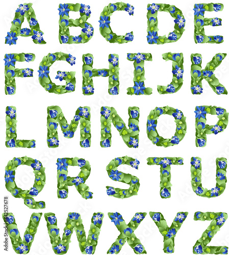  English alphabet made in the form of flowers of liverwort