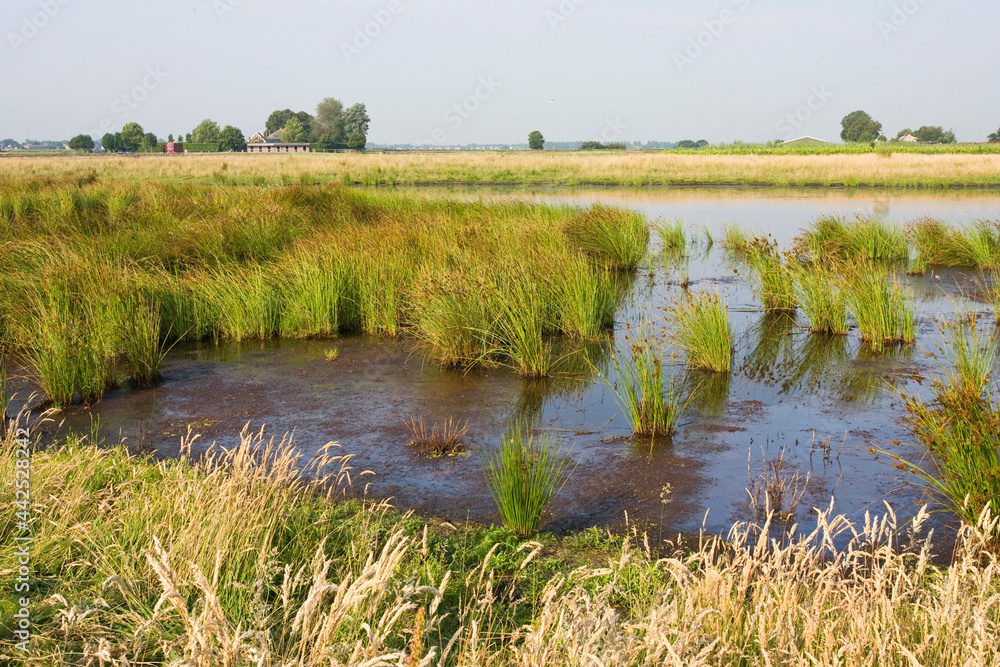 Groene Jonker, Zevenhoven, Netherlands Groene Jonker, Zevenhoven, Netherlands