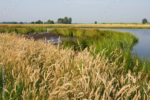 Obraz na płótnie Groene Jonker, Zevenhoven, Netherlands w salonie
