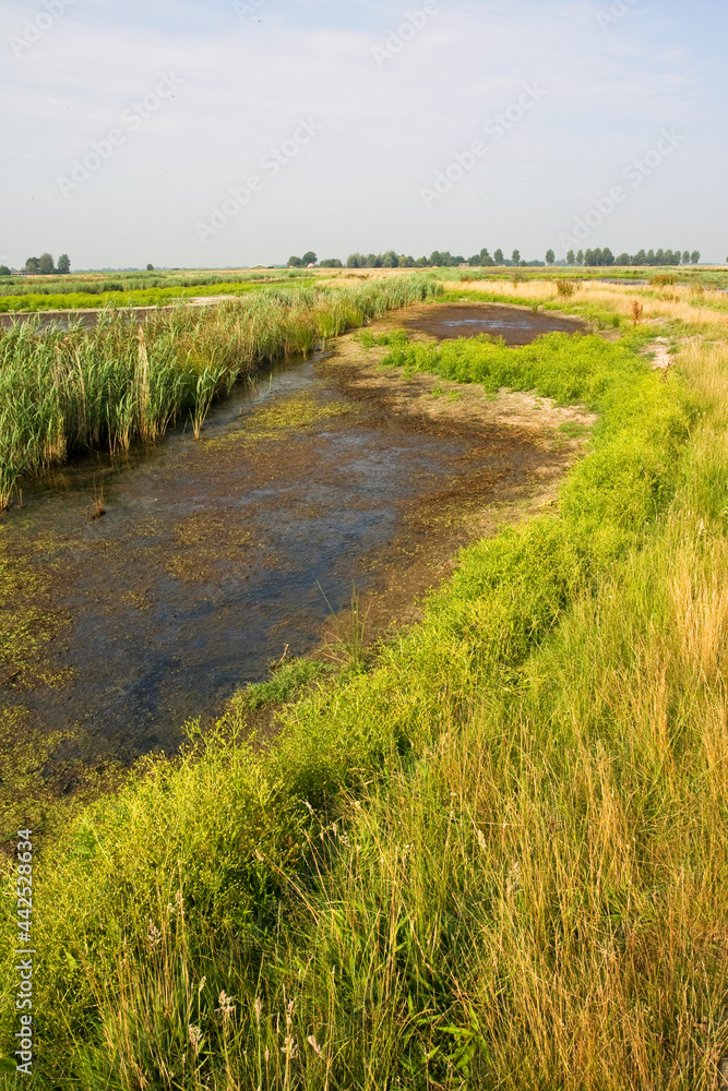 Groene Jonker, Zevenhoven, Netherlands