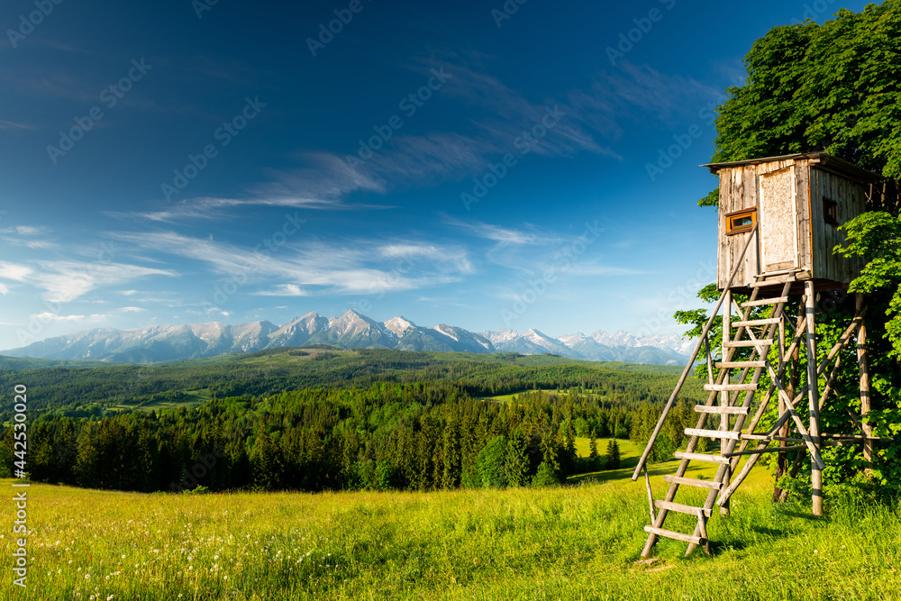 Fototapeta premium Hunting Tower at Green Meadow in Lapszanka Valley in Tatra Mountains, Poland