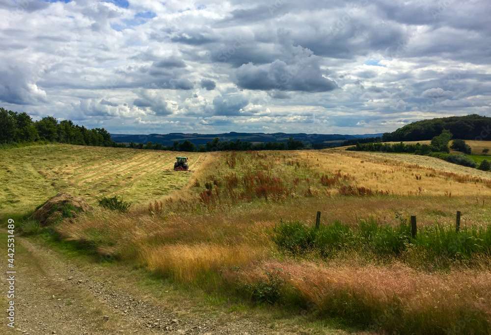 Obraz premium ländliche Idylle