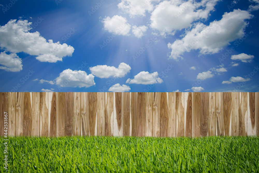 Fototapeta premium Wooden fence on green grass field with clouds in blue sky and sun light. Nature background concept.
