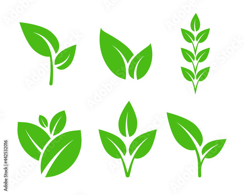 Set of Leaf Plant Icons. Biology Sign Vector Design. Clean Eco Floral Symbol.