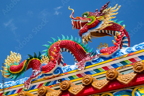 Dragon architecture