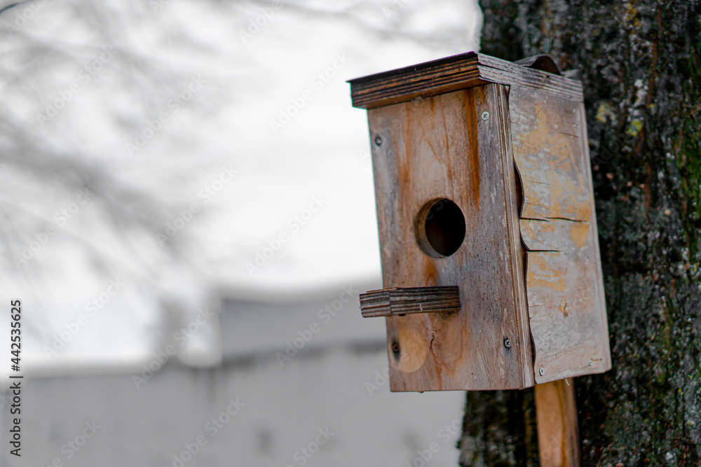 Birdhouse for birds fixed on a tree