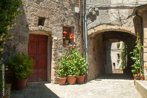 Italia, Toscana, Grosseto, il paese di Sorano. © gimsan