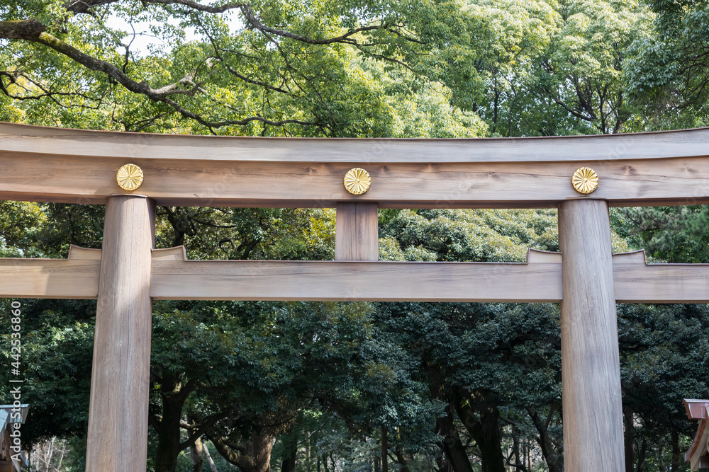 Meiji Shrine Oldest located in Shibuya, Tokyo, is the Shinto shrine that is dedicated to the deified spirits of Emperor Meiji. Meiji Shrine Oldest located in Shibuya, Tokyo, is the Shinto shrine that is dedicated to the deified spirits of Emperor Meiji.