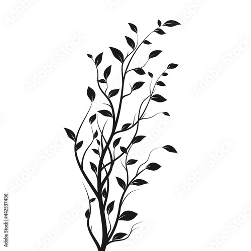 Silhouette tree branch. Bush silhouette isolated on white background with a lot of leaves. Vector