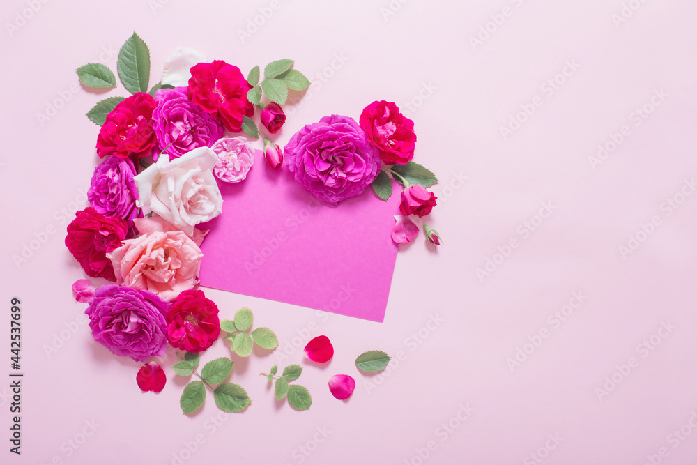 beautiful roses on pink paper background beautiful roses on pink paper background