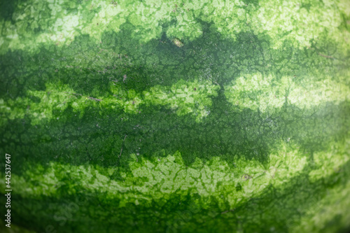 Watermelon as background or texture