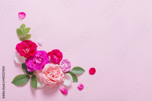 beautiful roses on pink paper background