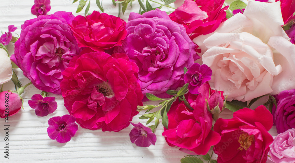 pink and red roses on white wooden background