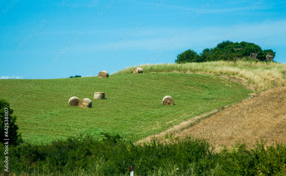 Italia, Toscana, la campagna di Val d'Orcia (Siena) Italia, Toscana, la campagna di Val d'Orcia (Siena)