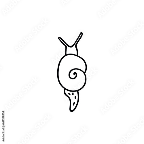 Single hand drawn snail. Doodle vector illustration. Isolated on a white background. Goblincore style.