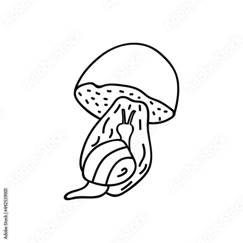 Single hand drawn snail climbs on a mushroom. Doodle vector illustration. Isolate on a white background. Goblincore print.