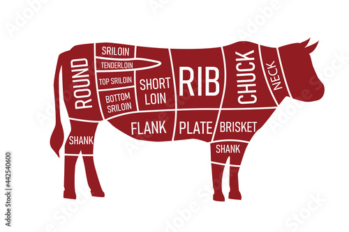 Beef parts of the cow isolated on wite background. red beef meat cuts. vector illustration in flat design.