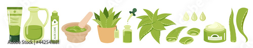Cartoon juice green succulent plant, organic gel droplet from aloe leaves, natural cream, serum and oil products packaging. Aloe vera cosmetic beauty skincare vector illustration set