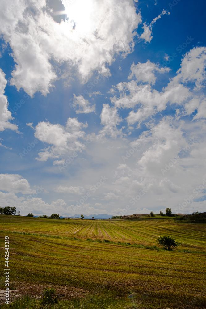 Cloudscape sky on a summer green and yellow agricultural countryside field landscape Cloudscape sky on a summer green and yellow agricultural countryside field landscape